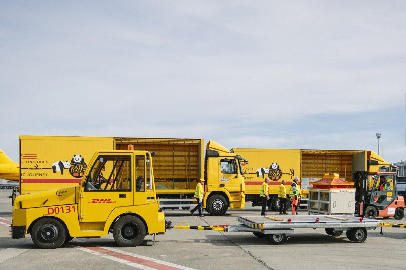 Dhl truck pandas 13610