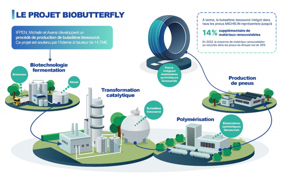 Proyecto Biobutterfly